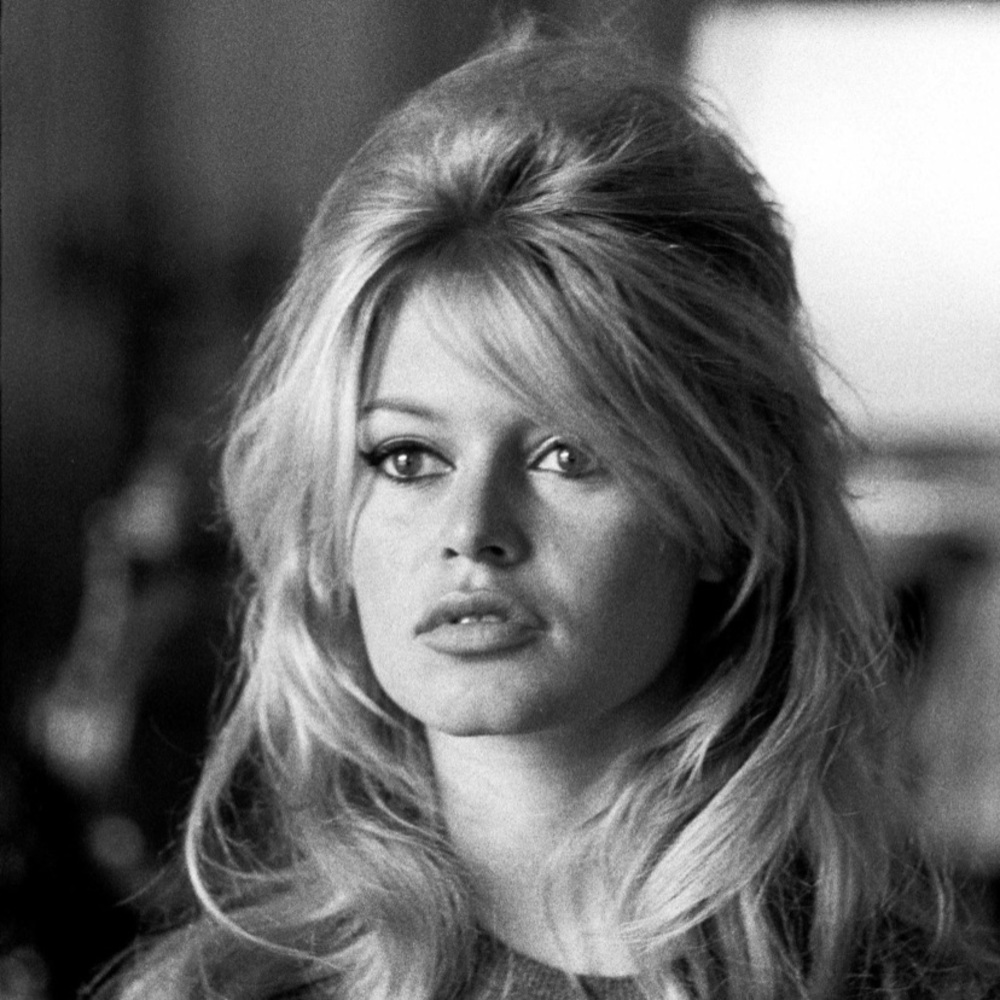 Meet your Posher, Jacque